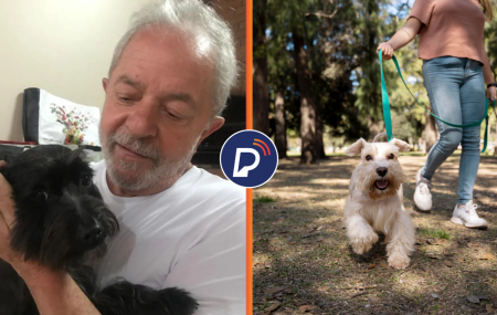  Lei 15.392/2026, que estabelece regras para a cust&oacute;dia compartilhada de animais.