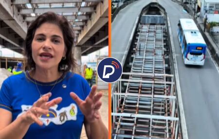 Vice-governadora, Priscila Krause (PSD).