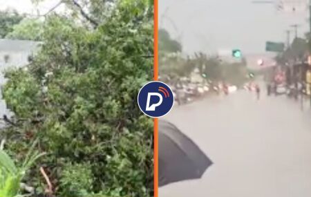 Preju&iacute;zos no munic&iacute;pio do Paulista. 