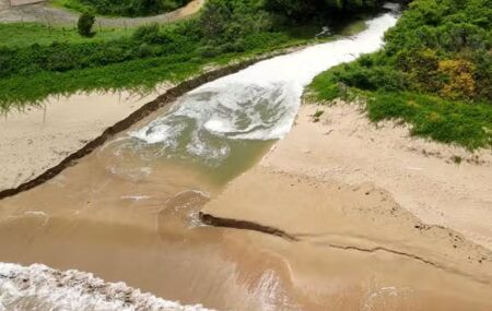 Mangue em Fernando de Noronha.