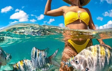 &Aacute;guas cristlnas e arrecifes encantam visitantes.