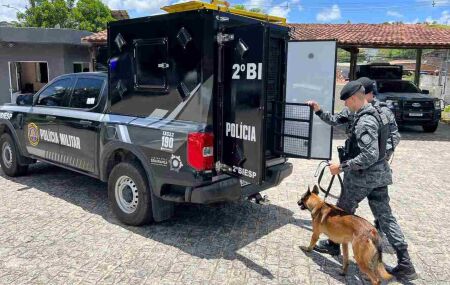 Viatura especializada para transporte de c&atilde;es