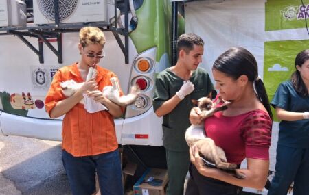Mutir&atilde;o de castra&ccedil;&atilde;o em Olinda