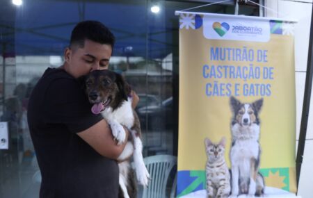 Mutir&atilde;o de castra&ccedil;&atilde;o de pets em jaboat&atilde;o