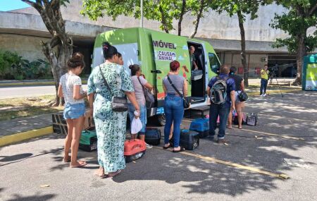 Realiza&ccedil;&atilde;o do mutir&atilde;o de castra&ccedil;&atilde;o de pets no Centro de Conven&ccedil;&otilde;es