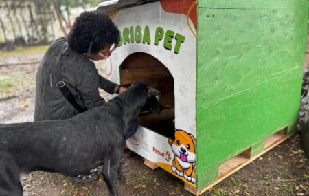 Prefeitura de Olinda realiza instala&ccedil;&atilde;o de casinhas de pet para refor&ccedil;ar o cuidado com animais