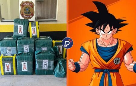 PF apreende mais de meia tonelada de coca&iacute;na com embalagem do personagem Goku