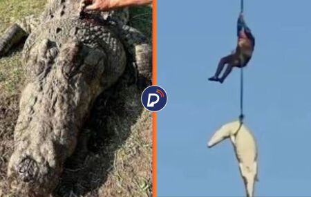 Crocodilo de meia tonelada &eacute; suspeito de devorar ao menos sete pessoas 