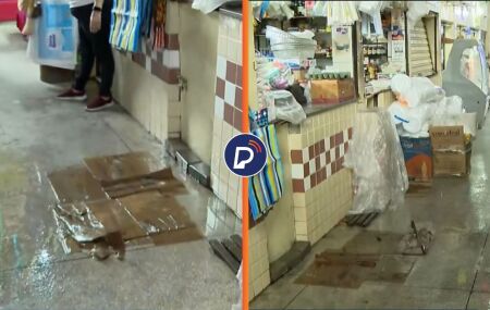 Mercado de Casa Amarela est&aacute; com problema nos telhados.