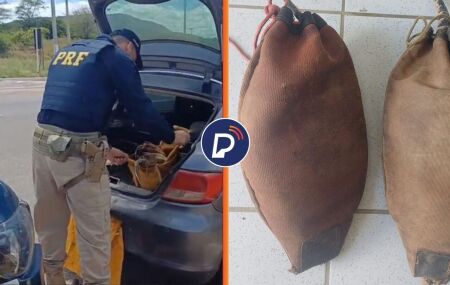A&ccedil;&atilde;o da Pol&iacute;cia Rodovi&aacute;ria Federal
