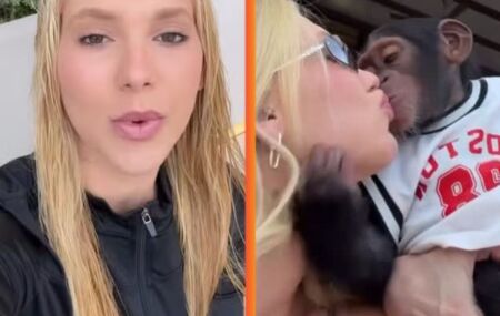 Virginia Fonseca se envolveu em epis&oacute;dio pol&ecirc;mico.