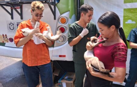 Castram&oacute;vel abre inscri&ccedil;&otilde;es para castra&ccedil;&atilde;o gratuita de c&atilde;es e gatos em Olinda; veja como agendar