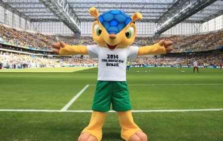 Fuleco em extin&ccedil;&atilde;o? Mascote da Copa no Brasil segue na lista de animais em risco