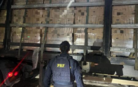 Apreens&atilde;o ocorreu durante uma opera&ccedil;&atilde;o de rotina da PRF na rodovia.