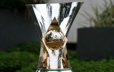 Ta&ccedil;a do Brasileir&atilde;o. 