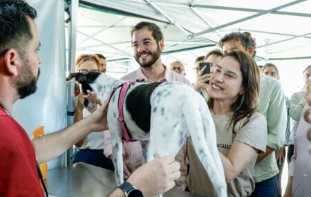 S&atilde;o realizadas mais de 200 castra&ccedil;&otilde;es por dia, das 8h &agrave;s 15h, exclusivamente por agendamento, que pode ser feito pelo Instagram da Secretaria de Meio Ambiente (@meioambientepe).