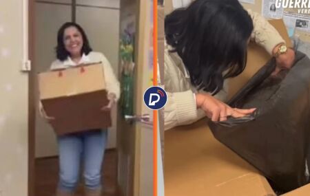 Vereadora da causa animal recebe caixa com cachorro morto em seu gabinete.