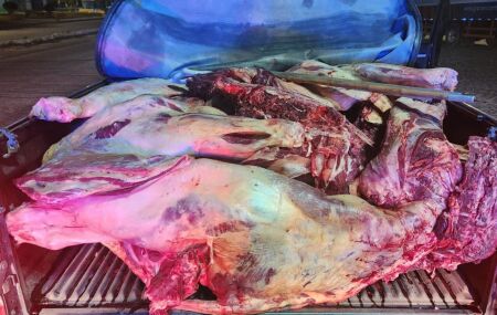 800 quilos de carne bovina transportada de forma irregular. 