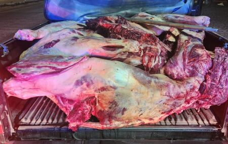 PRF apreende 800 kg de carne bovina sem refrigera&ccedil;&atilde;o em Garanhuns (PE).