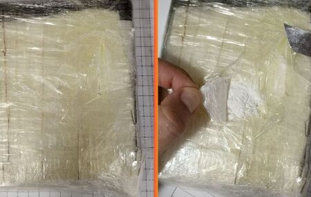 Mulher &eacute; presa em flagrante pela PF com quase 1kg de coca&iacute;na no Recife