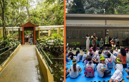 EcoF&eacute;rias do Jardim Bot&acirc;nico do Recife tem programa&ccedil;&atilde;o gratuita em julho; confira
