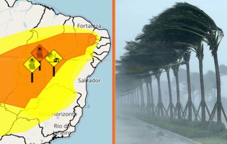 Inmet alerta para perigo de vendaval em 36 cidades de Pernambuco; veja quais