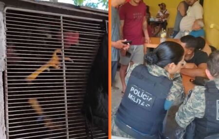 PMPE flagra rinha de galos, apreende aves e muni&ccedil;&otilde;es na Mata Norte do estado