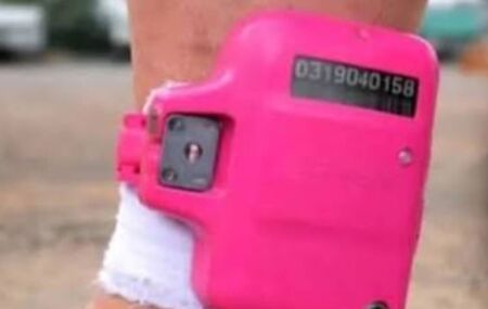 Tornozeleira eletr&ocirc;nica rosa.