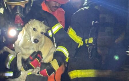 O Corpo de Bombeiros Militar de Pernambuco (CBMPE) foi acionado para atender a ocorr&ecirc;ncia. 