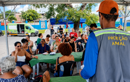 Castra&ccedil;&atilde;o gratuita de c&atilde;es e gatos em Olinda acontece em setembro; veja como participar