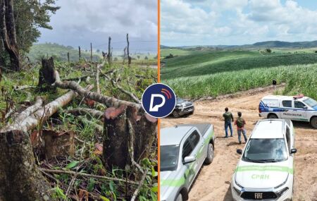 Opera&ccedil;&atilde;o Mata Atl&acirc;ntica em P&eacute; 2026