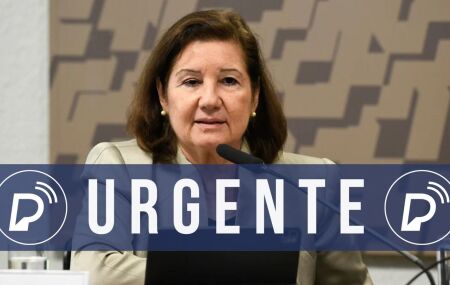 Maria Luiza Viotti, embaixadora do Brasil nos EUA