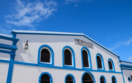 Mercado Eufr&aacute;sio Barbosa em Olinda