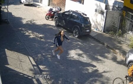 A cantora de brega Ziane Martins disse que ainda correu gritando atr&aacute;s do suspeito.