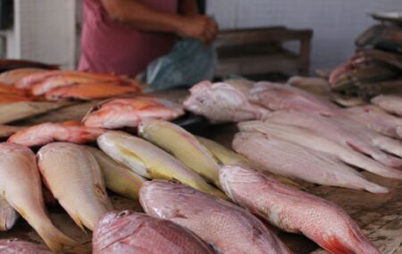 Mercad&atilde;o do Cabo de Santo Agostinho.