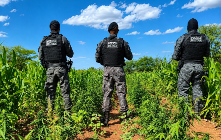 Opera&ccedil;&atilde;o da Pol&iacute;cia Militar de Pernambuco.