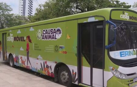 Castram&oacute;vel chega a Belo Jardim para realizar castra&ccedil;&atilde;o de c&atilde;es e gatos em outubro.