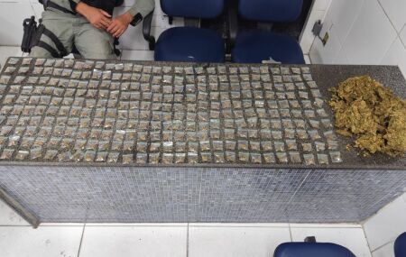 Policiais militares do 12&ordm; Batalh&atilde;o da Pol&iacute;cia Militar (BPM) apreenderam 290 por&ccedil;&otilde;es de maconha.