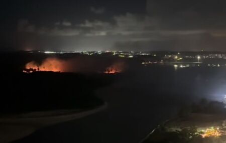 Um inc&ecirc;ndio atingiu uma &aacute;rea de vegeta&ccedil;&atilde;o na Ilha do Amor.