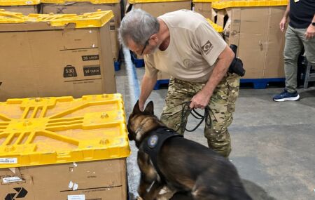 Opera&ccedil;&atilde;o usou c&atilde;o farejador para encontrar o material il&iacute;cito.