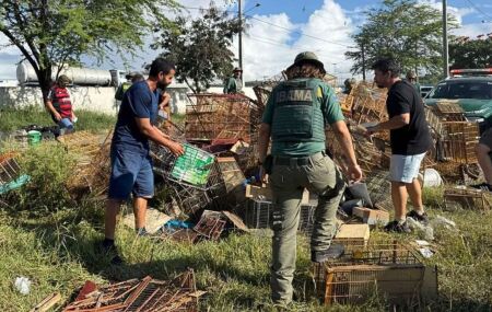 Agentes libertaram os animais e destru&iacute;ram diversas gaiolas no local.