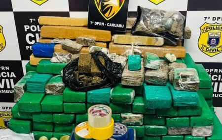 Maconha apreendida pela Pol&iacute;cia.