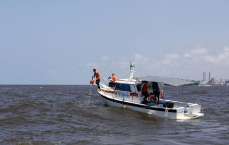 Monitoramento cient&iacute;fico de tubar&otilde;es no litoral da Regi&atilde;o Metropolitana do Recife.