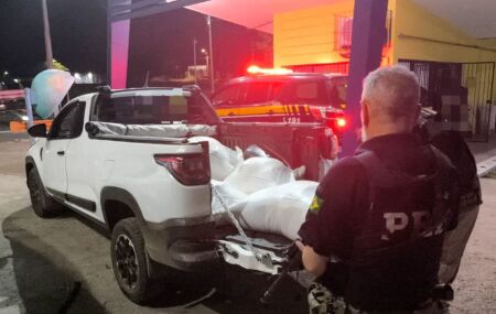 Homem &eacute; detido com 31 kg de maconha escondidos em fardos de ra&ccedil;&atilde;o na BR-232, em Sert&acirc;nia.