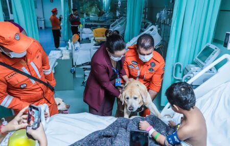 Ap&oacute;s 29 dias na UTI, menina de 6 anos recebe visita de c&atilde;es dos Bombeiros em Paulista.