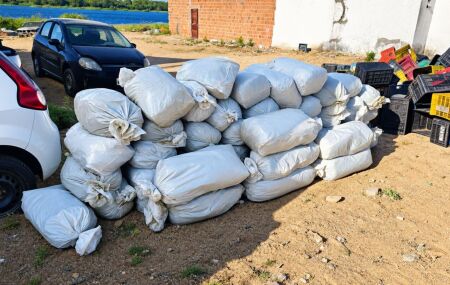 PRF apreende 323 kg de maconha escondidos em carga de verduras na BR-116, na Bahia.