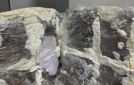 Pol&iacute;cia Federal prende mulher com 33,9 kg de skank no Aeroporto do Recife.