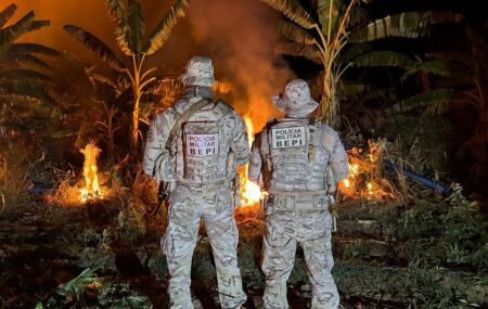 Pol&iacute;cia Militar prende seis homens e uma mulher em opera&ccedil;&atilde;o contra cultivo de maconha no Sert&atilde;o de Pernambuco.
