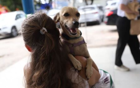 Castram&oacute;veis oferecem castra&ccedil;&atilde;o gratuita de c&atilde;es e gatos no Sert&atilde;o e Agreste de Pernambuco; confira locais e programa&ccedil;&atilde;o.