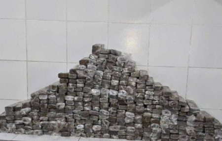 283 quilos de maconha apreendidos